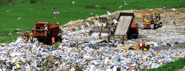 Landfill Yönetim Danışmanlığı
